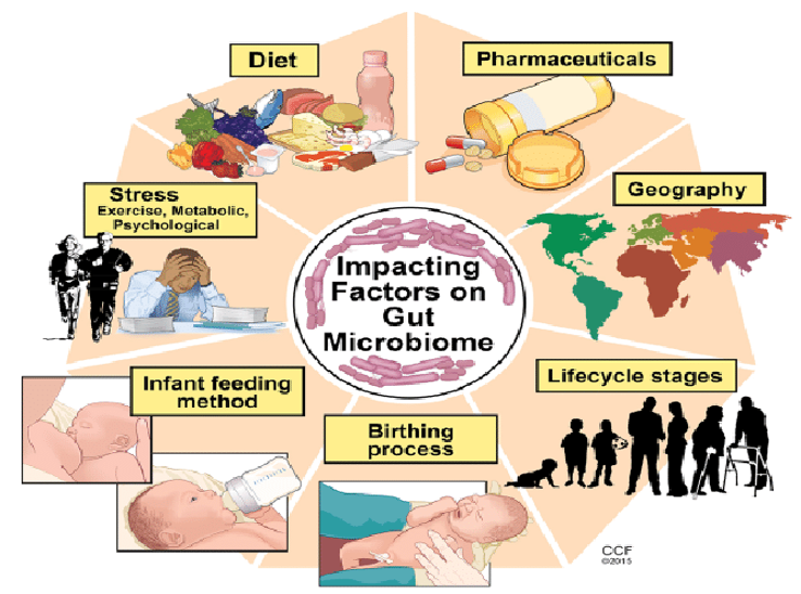 Microbiome: Onset and Shaping Through Life Stages