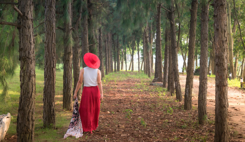 Women’s Health Update: Lifestyle Habits That Make a Difference Women’s Health Update: Lifestyle Habits That Make a Difference