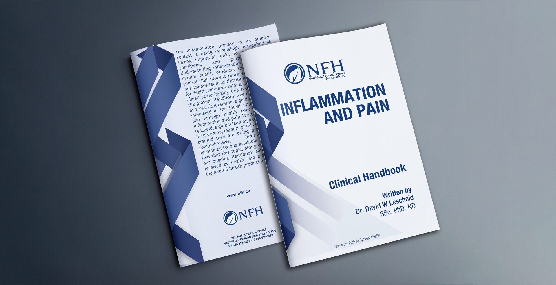 Handbook Inflammation and Pain