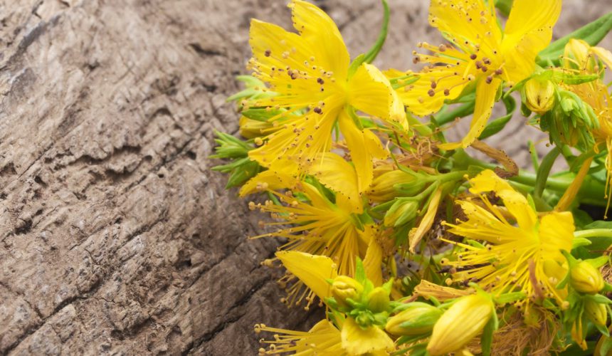 St John’s Wort Extract May Help Manage Postmenopausal Symptoms and Depression: By Dr Peter Alphonse, PhD St John’s Wort Extract May Help Manage Postmenopausal Symptoms and Depression: By Dr Peter Alphonse, PhD