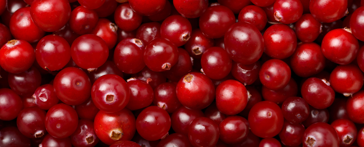 Cranberries and UTI Recurrence Reduction By Dr Tori Hudson
