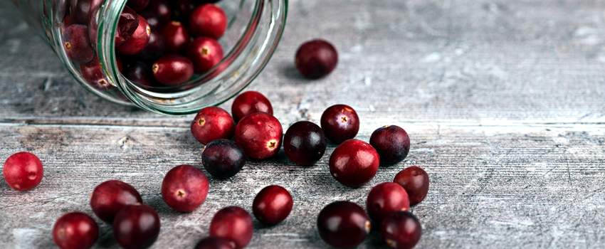Cranberry and UTI Prophylaxis in Susceptible Individuals